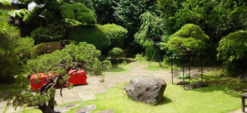 Restaurant Nikiya